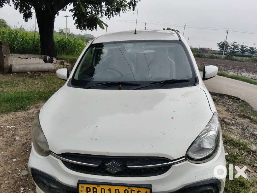 Maruti Suzuki Celerio 2024 1.0 Vxi (o) Cng