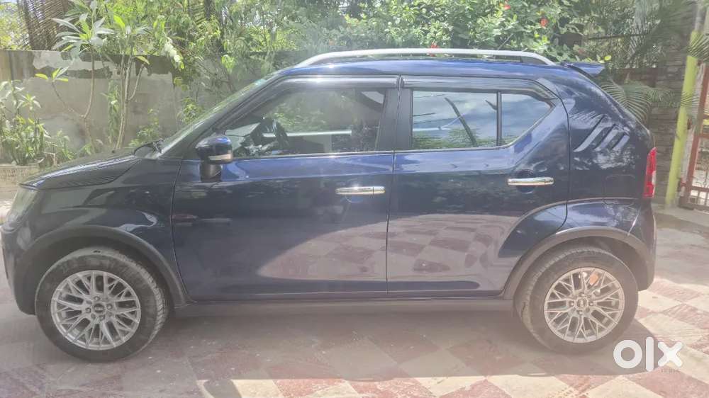 Maruti Suzuki Ignis 2024 Petrol Well Maintained