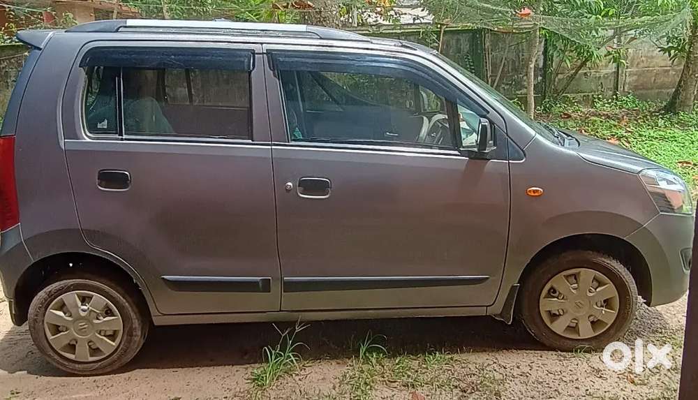 Wagner Cng With Petrol