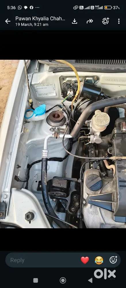 Maruti Suzuki Alto 2014