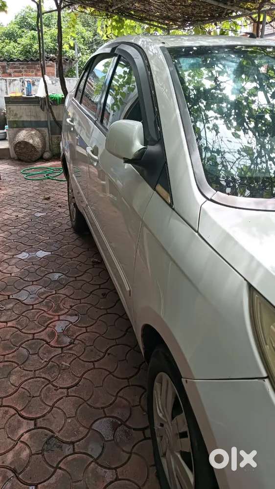 New Insurance