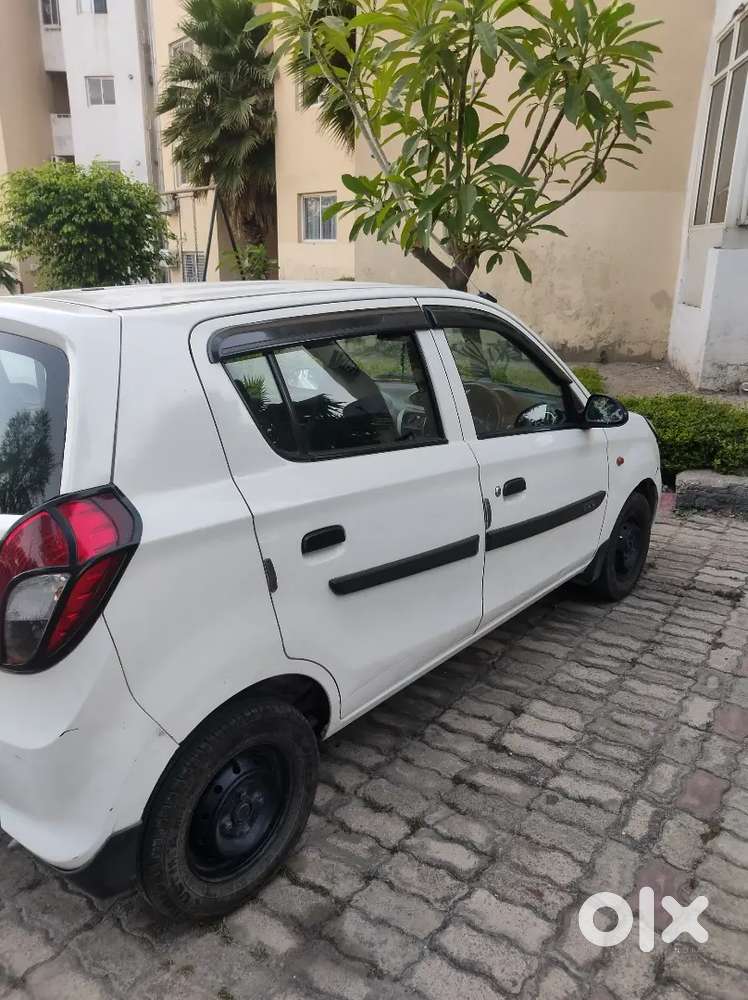 Alto 800 Scratchless For Sale