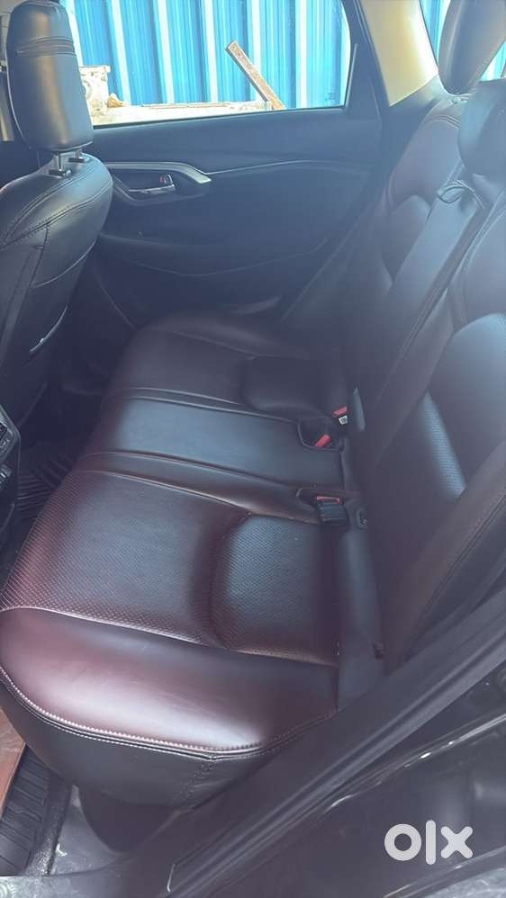 Toyota Urban Cruiser 2024