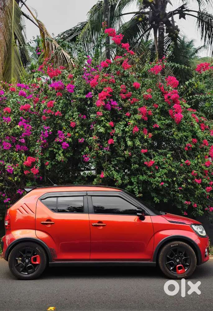 Maruti Suzuki Ignis 2018 Petrol Well Maintained