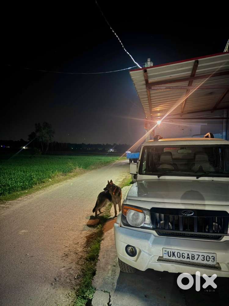 Mahindra Bolero 2014 Diesel