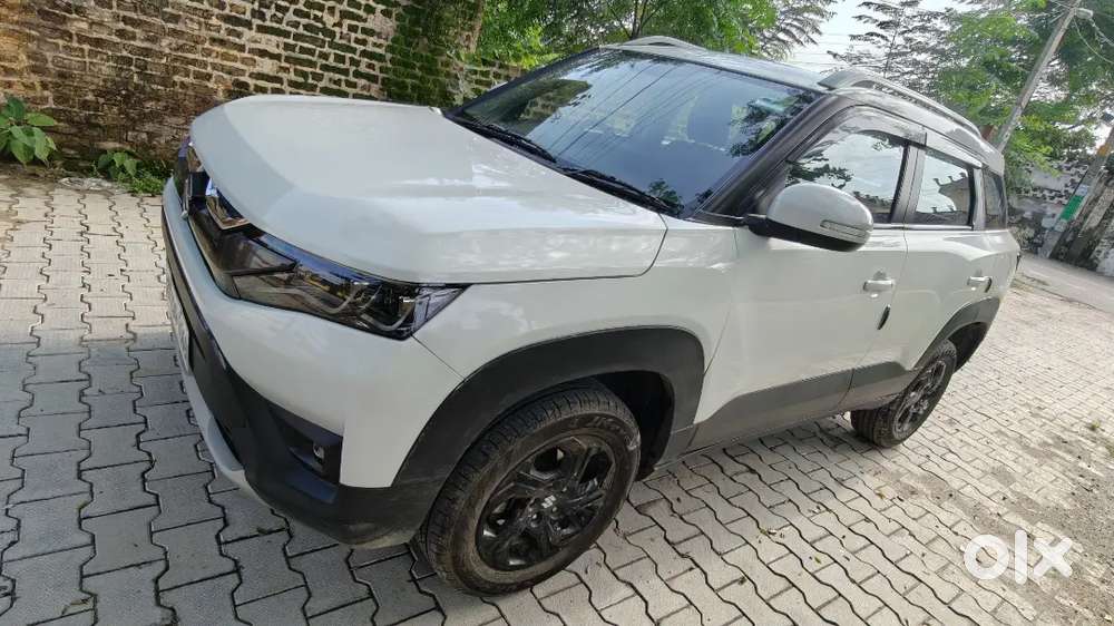 Maruti Suzuki Brezza 2023 Zxi Hybrid