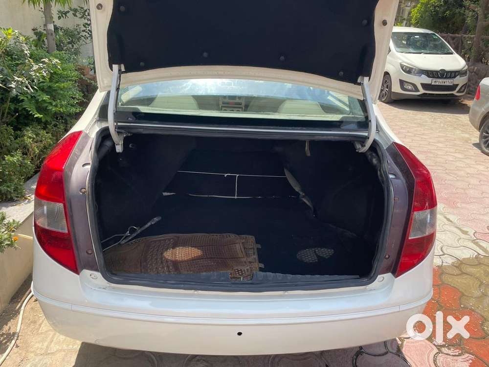 Tata Petrol Car 2010