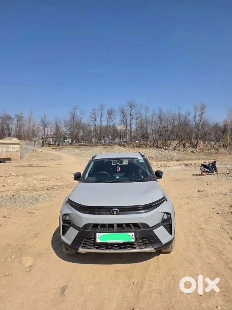 Nexon Creative 8.5 Months Old For Sale