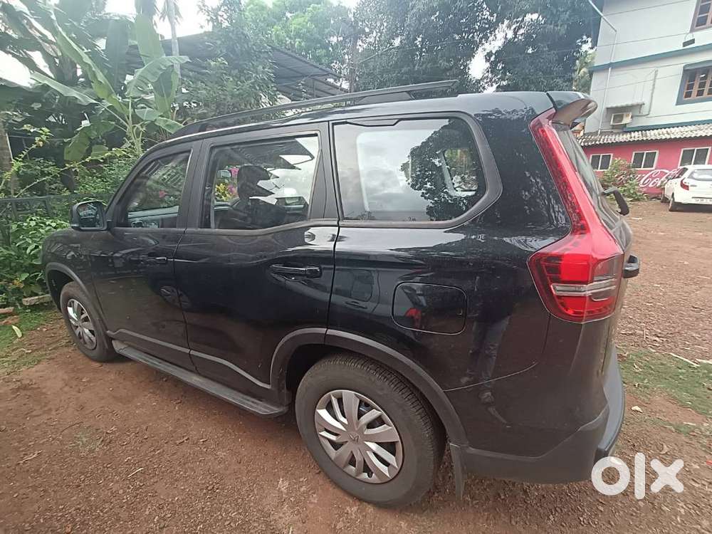 Napolean Black New Scorpio N