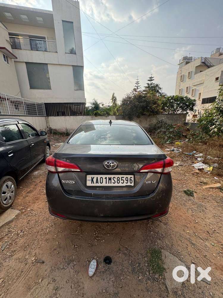2019 Model