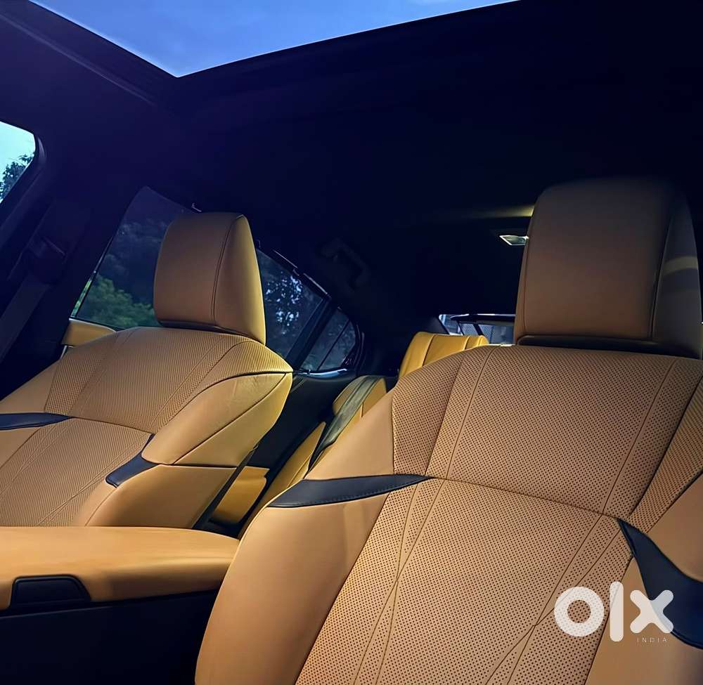 Lexus Es 300h Luxury, 2021, Petrol