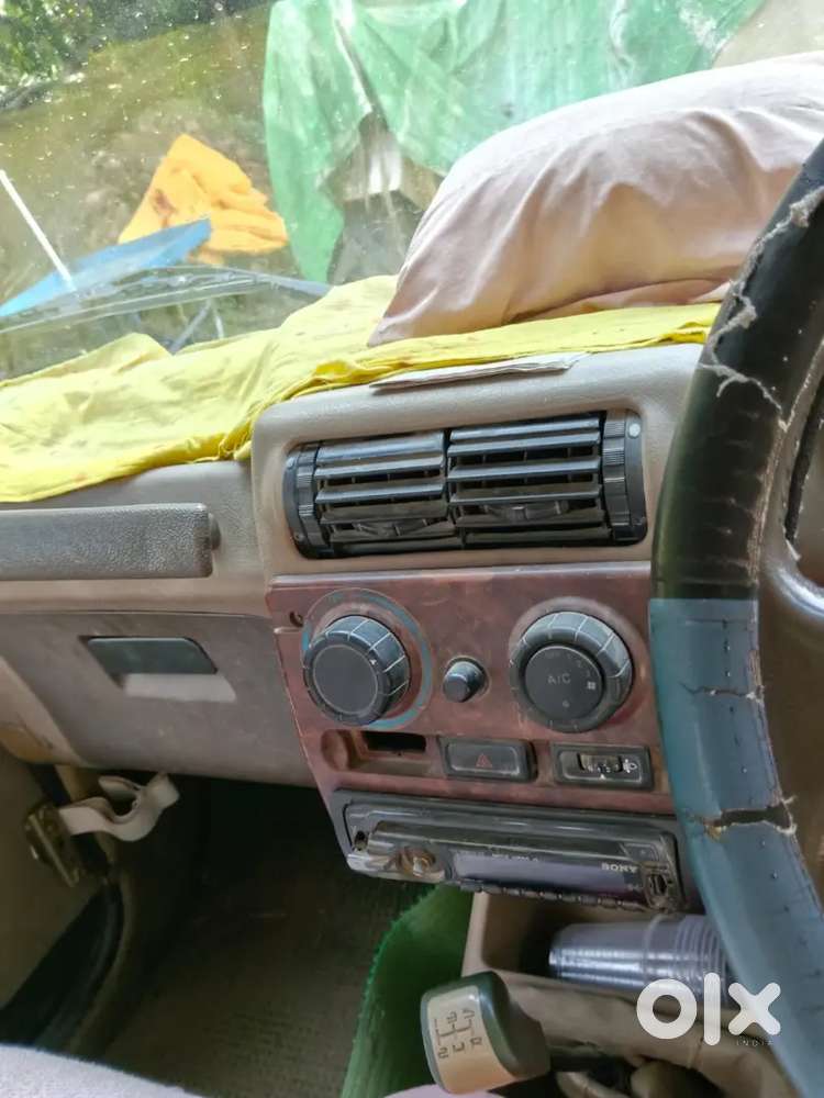 2031 Tak Pepper Ok Hai