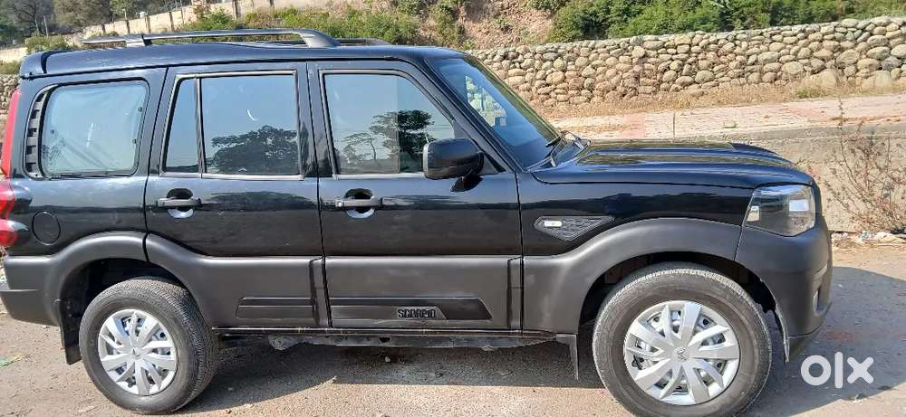 2024 Ending Scorpio Classic Urgent Sale