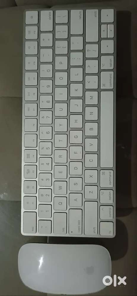 Apple magic mouse and keyboard