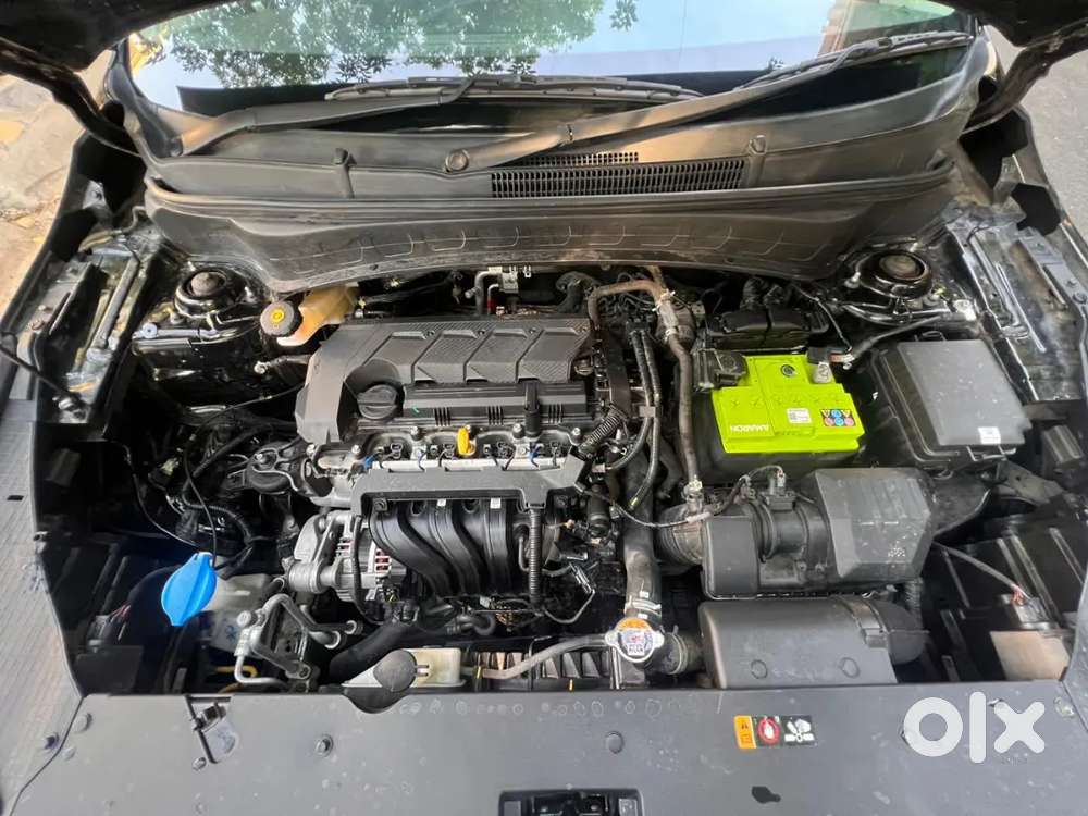 Kia Seltos 2024 Petrol 11852 Km Driven