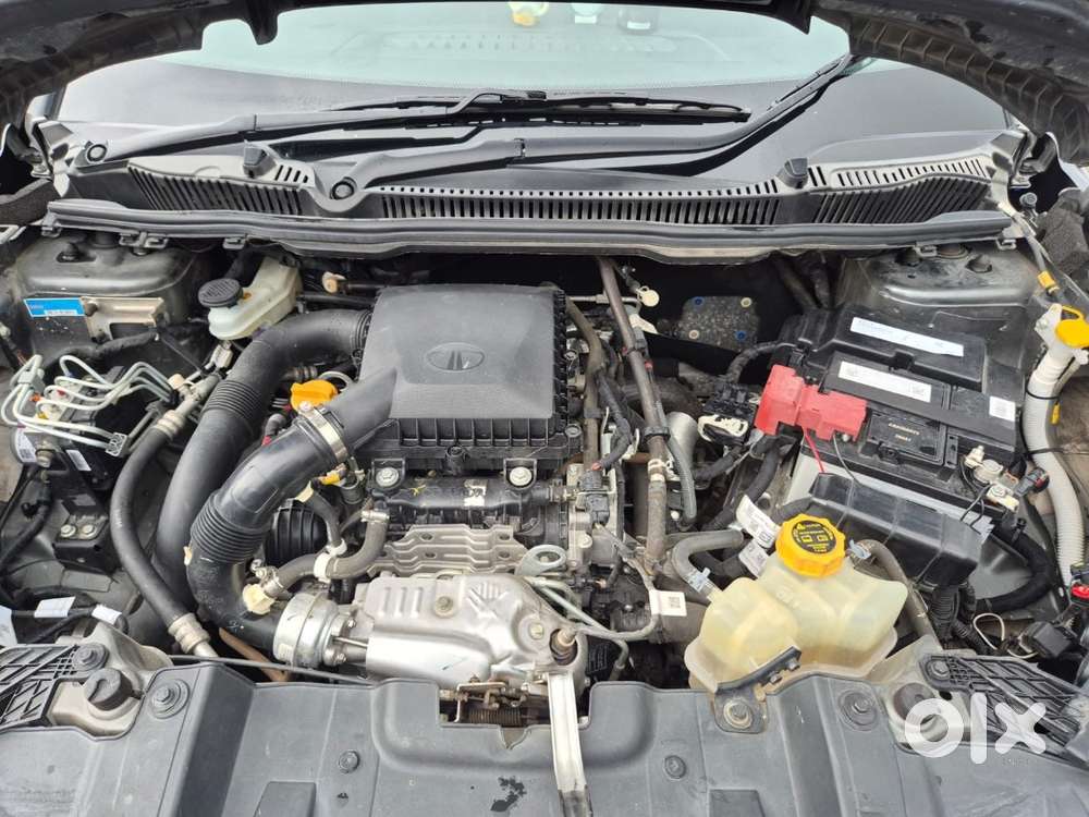 Tata Nexon Pure Plus 2025 Petrol 24900 Km