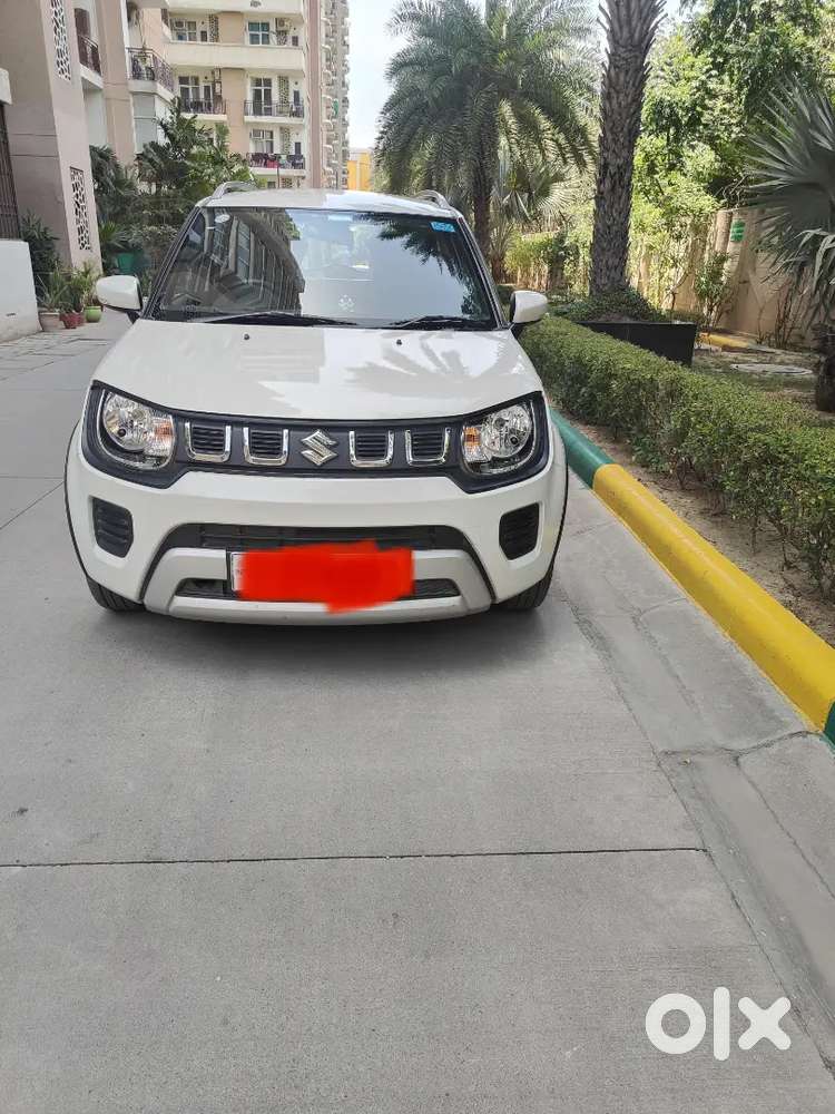 Maruti Suzuki Ignis 2024 Petrol 11300 Km Driven