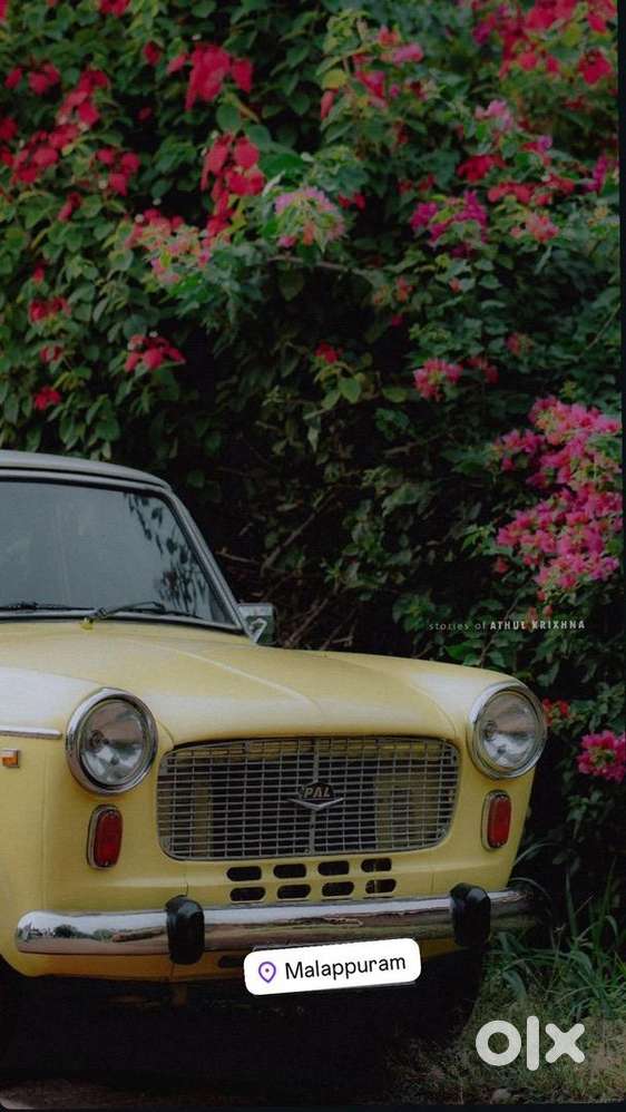 Premier Padmini