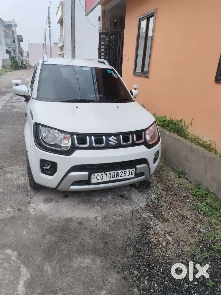 2023 (june) Maruti Sigma Ignis