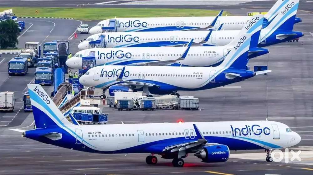 Cabin Crew/Ground Staff Jobs In Indigo Airlines Male Female Both Apply