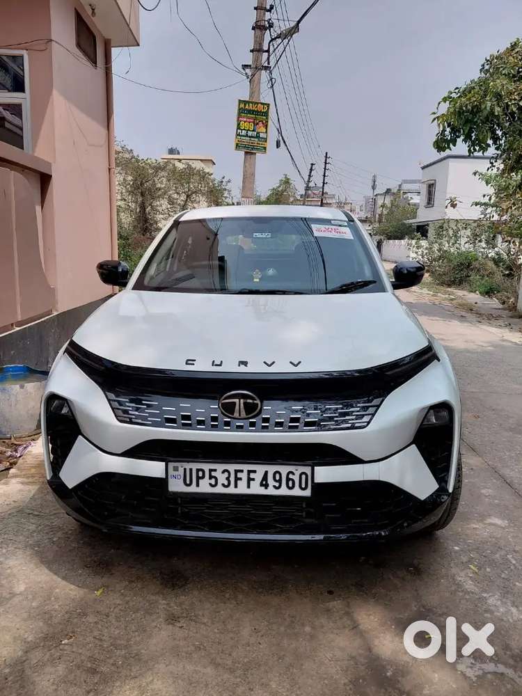 Tata Curv Pure Plus Model