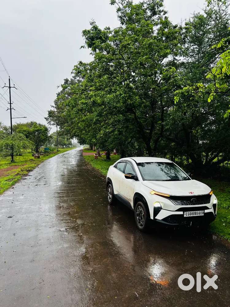 Tata Curvv Diesel 2024