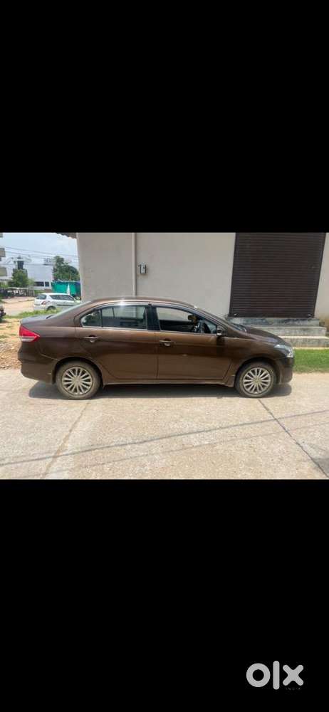 Maruti Suzuki Car 2017