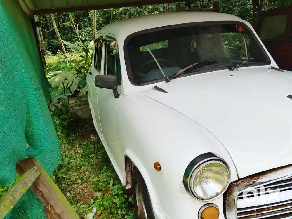 2006 Model Ambassador