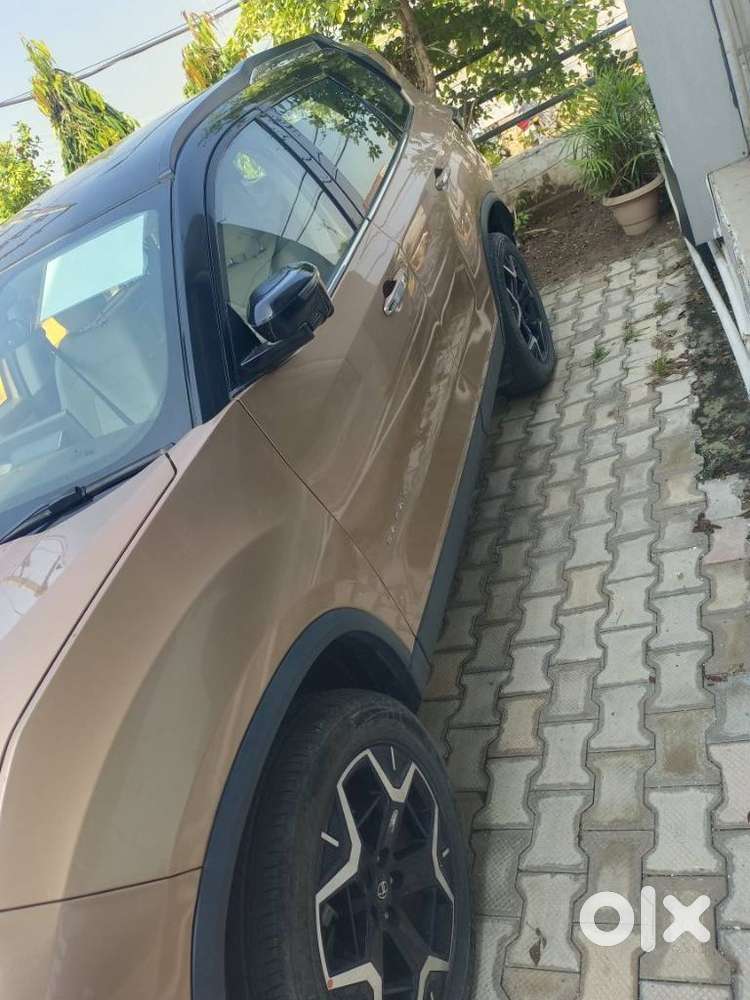 Tata Safari Accomplished Plus Dual Tone, 2023, Diesel