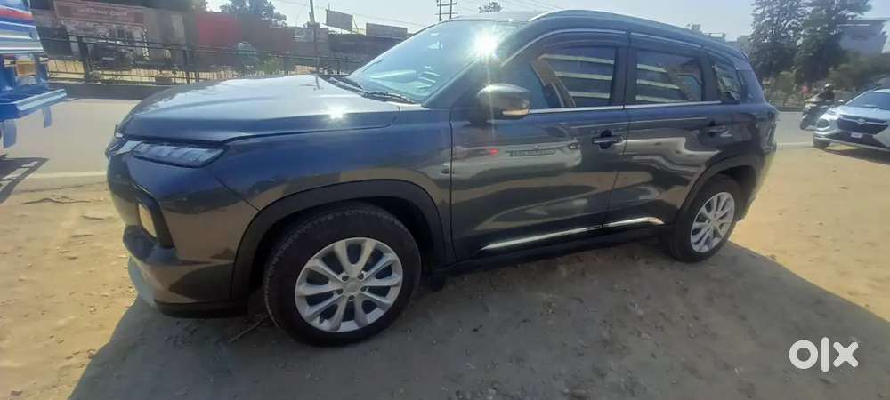 Maruti Suzuki Grand Vitara 2025 Petrol Well Maintained