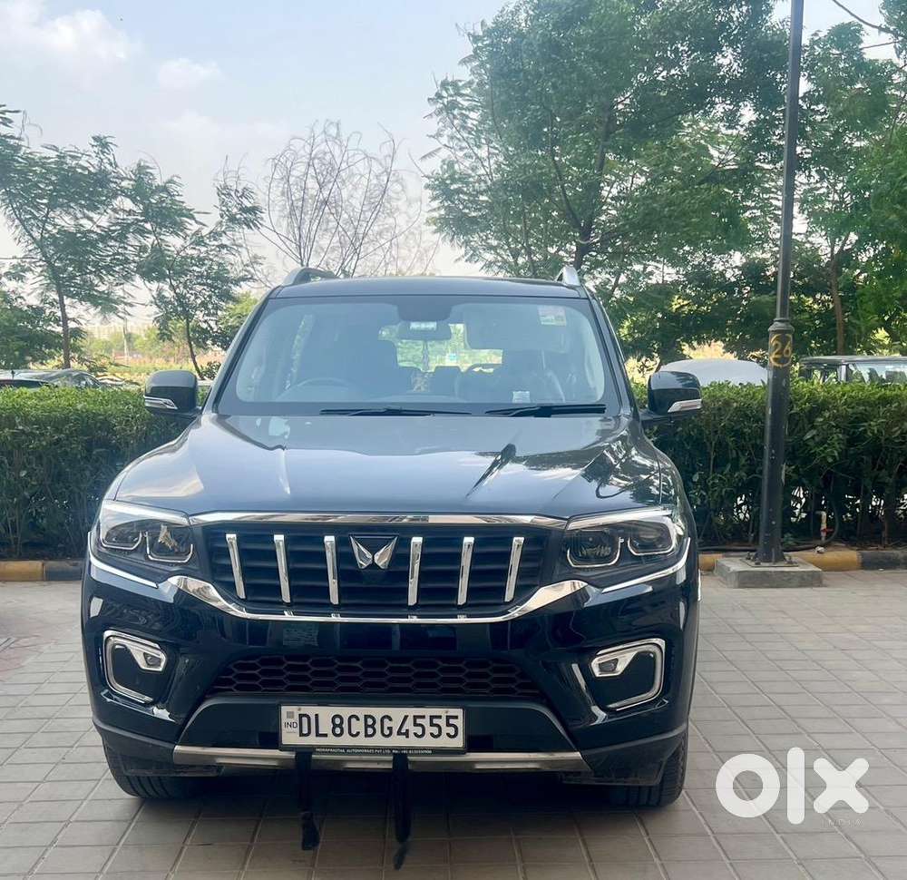 Not For Dealers// Big Daddy Is Here.