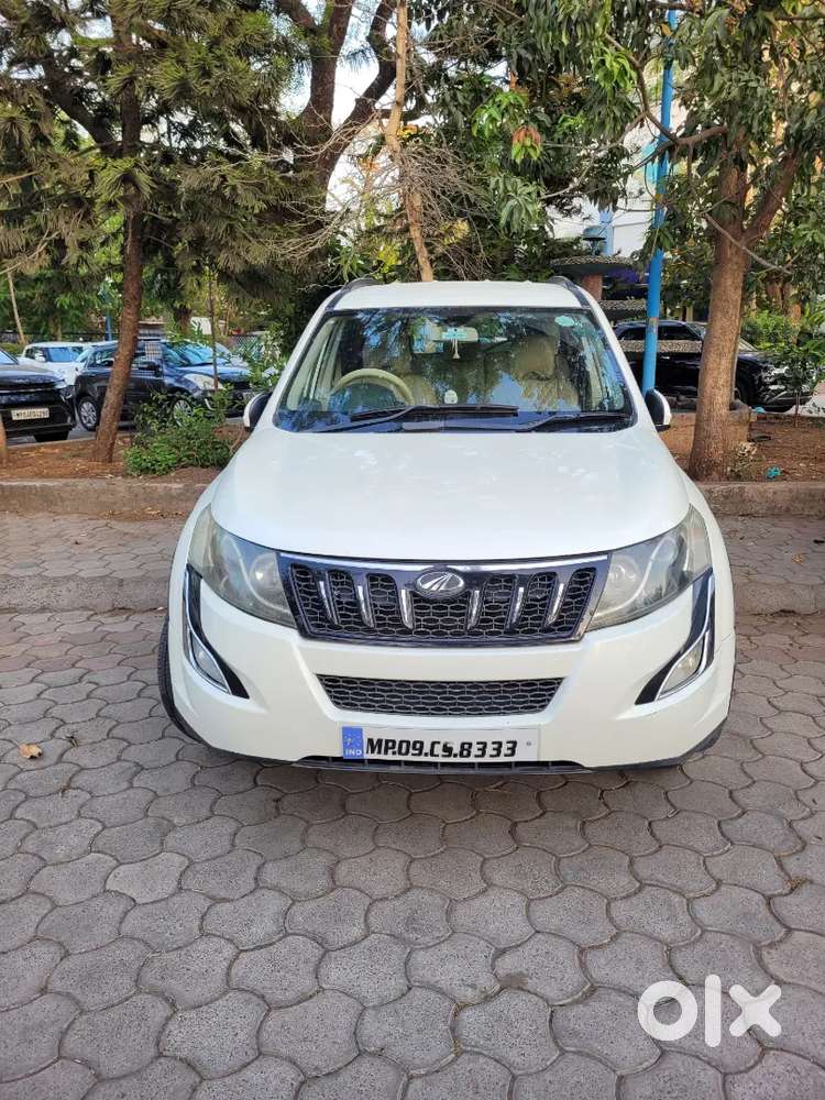 Singal Handed With Company Record