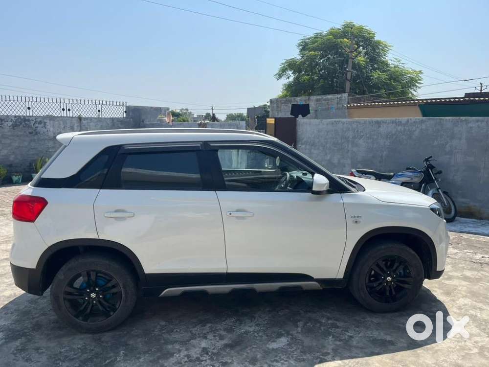Maruti Suzuki Diesel 2019 Car
