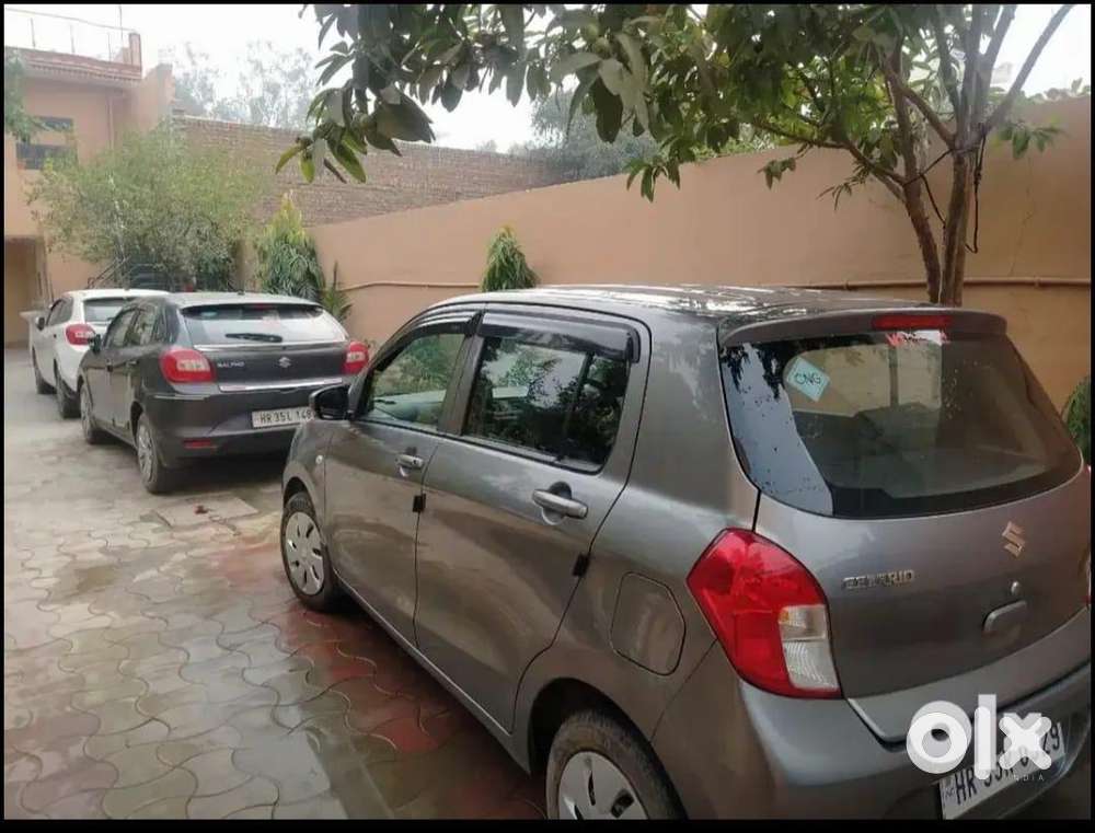 Maruti Suzuki Celerio 2020 Cng & Hybrids Good Condition