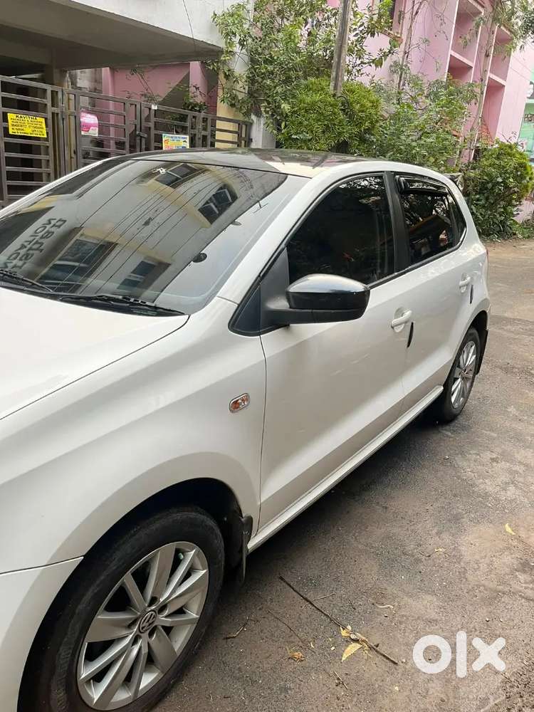 Polo Highline