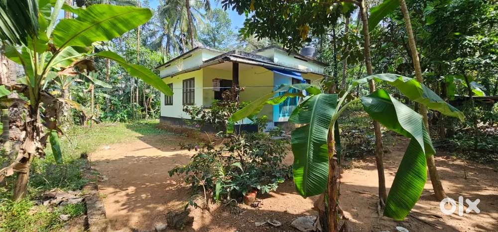 15 cent Land and House for sale at prime tourist location