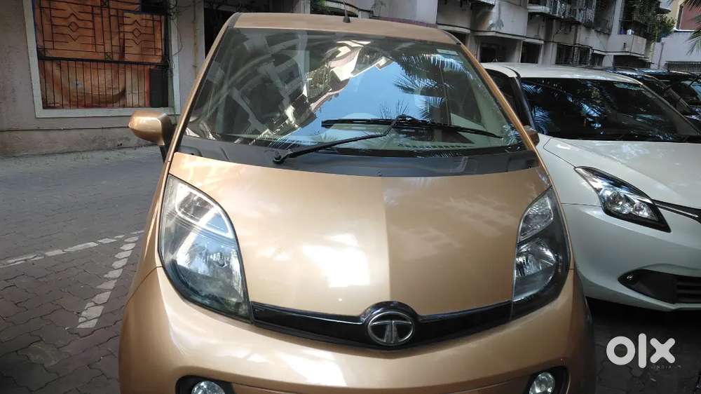 Golden Yellow Colour