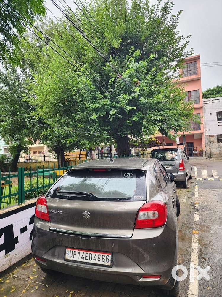 Maruti Suzuki Petrol 2019