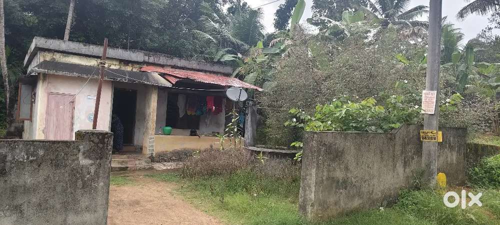 2 BHK House with 7 Cent Land for Sale
7 സെന്റും 2 BHK വീടും വിൽക്കാനുണ