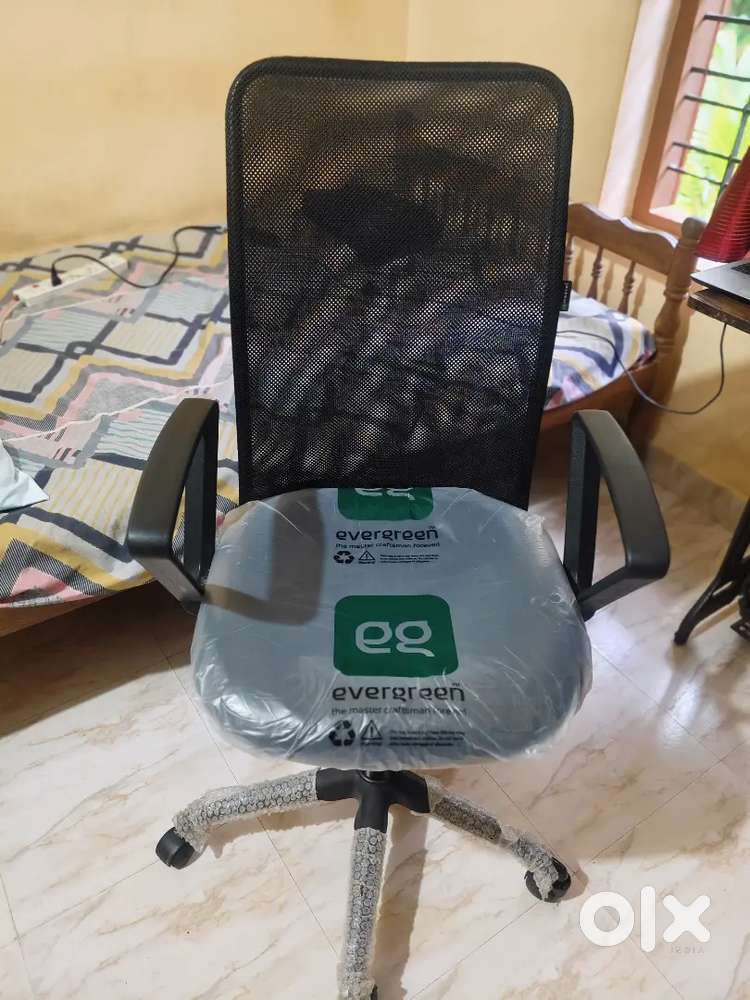 Evergreen Office / Study Chair