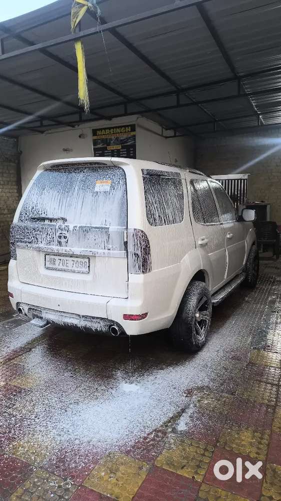 Selly My Safari Storme