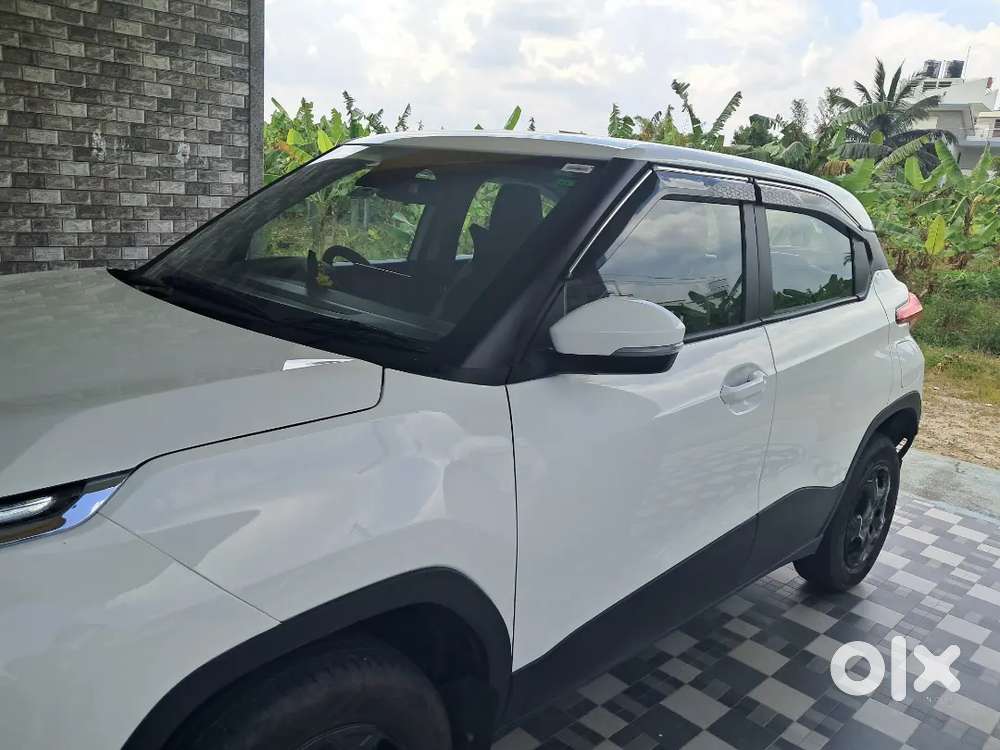 Accomplish Pluch Top 2 Very Ant Bat An Start