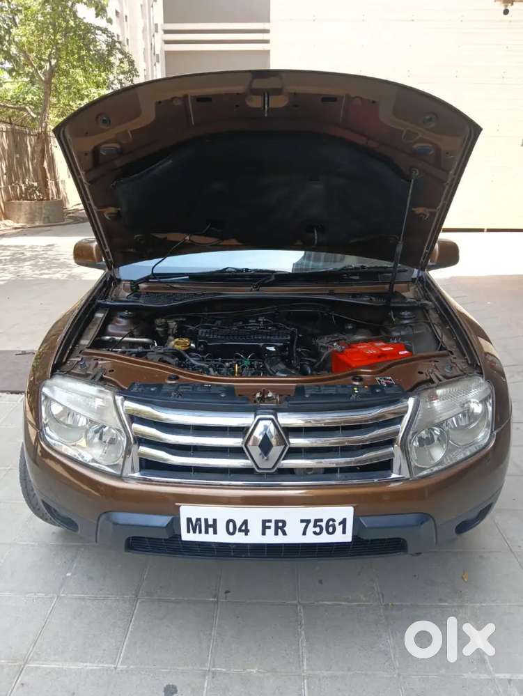 Renault Duster Rxl Optional