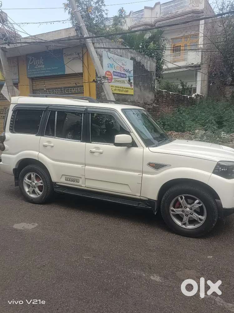 Mint Condition Brand-new New Tyrs