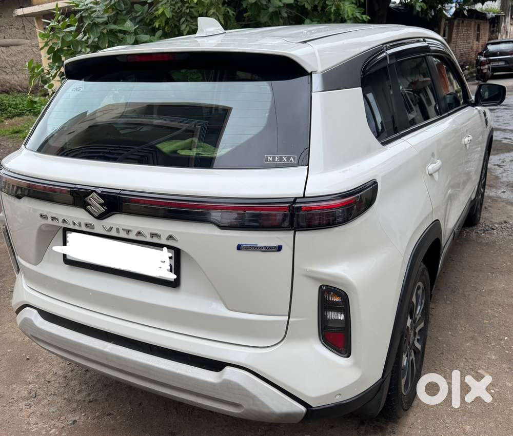 Maruti Suzuki Grand Vitara 2024 Cng & Hybrids 49000 Km Driven