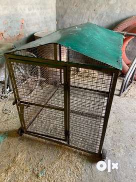 Dog crate outlet olx