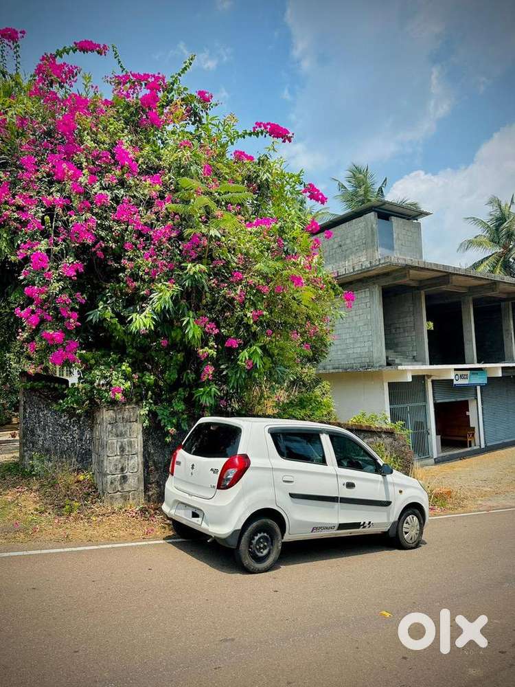 Maruti Suzuki Alto 800 2015