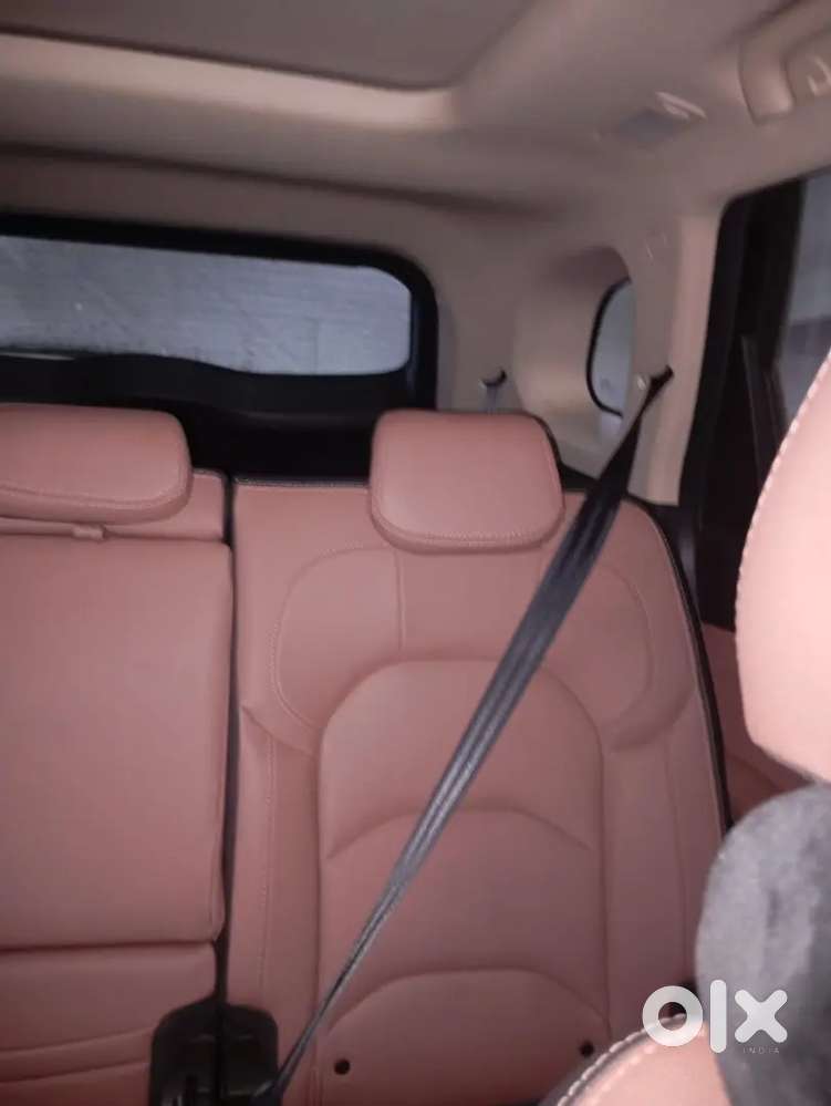Mg Hector 2024 Diesel Well Maintained