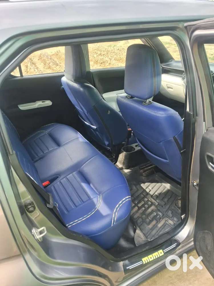 Ignus No Expenditure