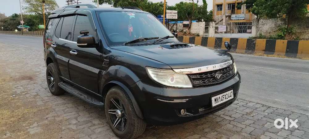 Family Cartata Safari